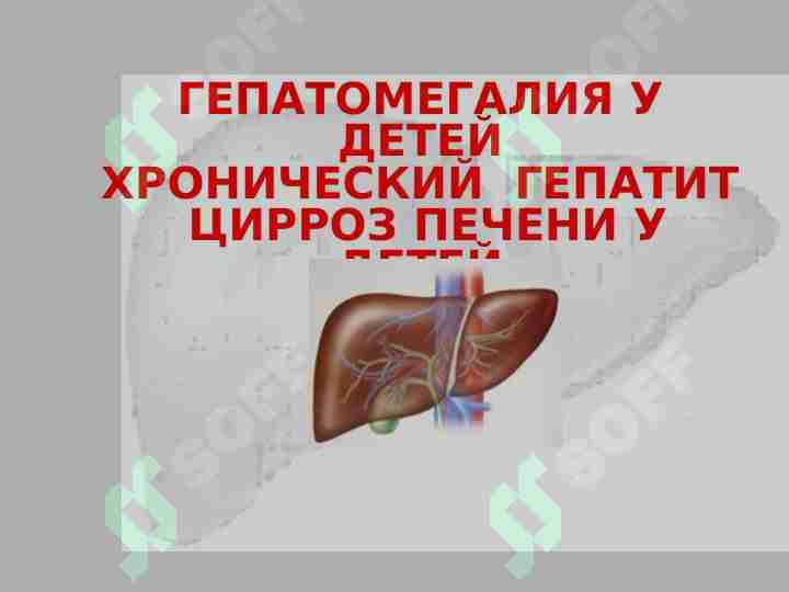 ГЕПАТОМЕГАЛИЯ У ДЕТЕЙ ХРОНИЧЕСКИЙ  ГЕПАТИТ  ЦИРРОЗ ПЕЧЕНИ У ДЕТЕЙ