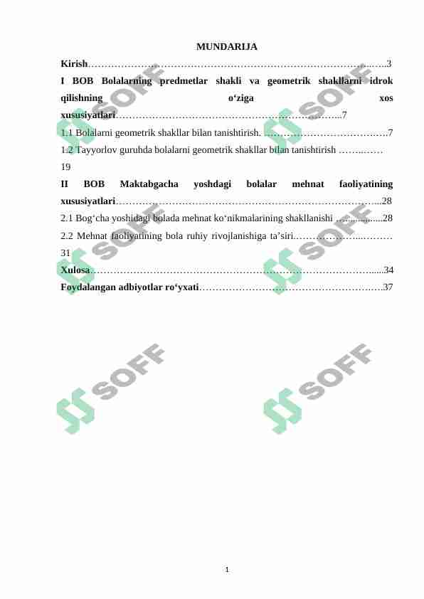 Irene Ferrari va uning porno Videokamerada qin ichidagi jinsiy olatni tasvirga oldi.