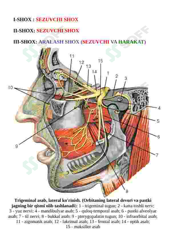 Retro porno film: Sevgi va xotinim belanchak U otkinchining oldida siltanib ketadi.