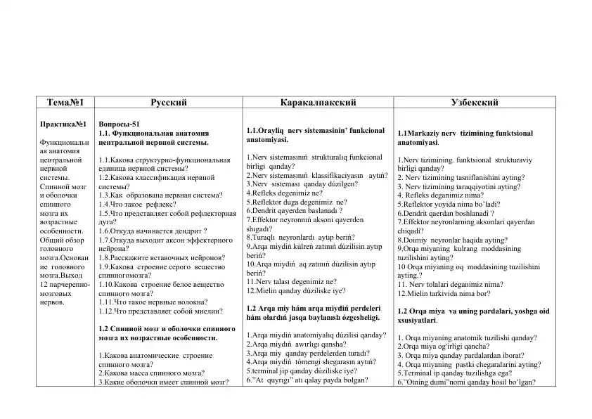 Функциональная анатомия центральной нервной системы
