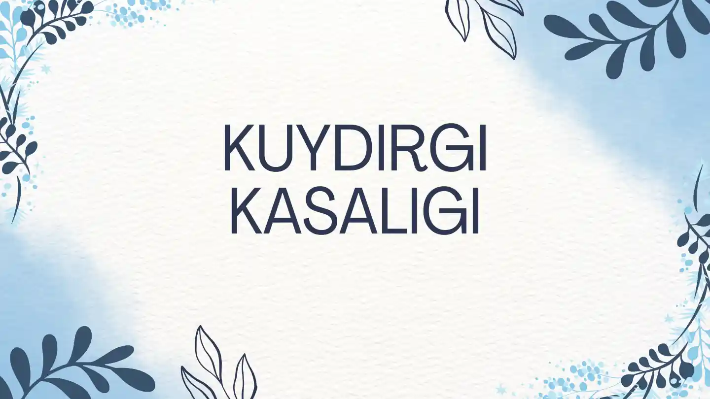 Kuydirgi kasalligi