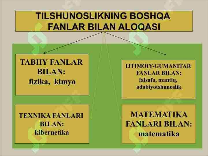 Watch Nina Hartli videos online