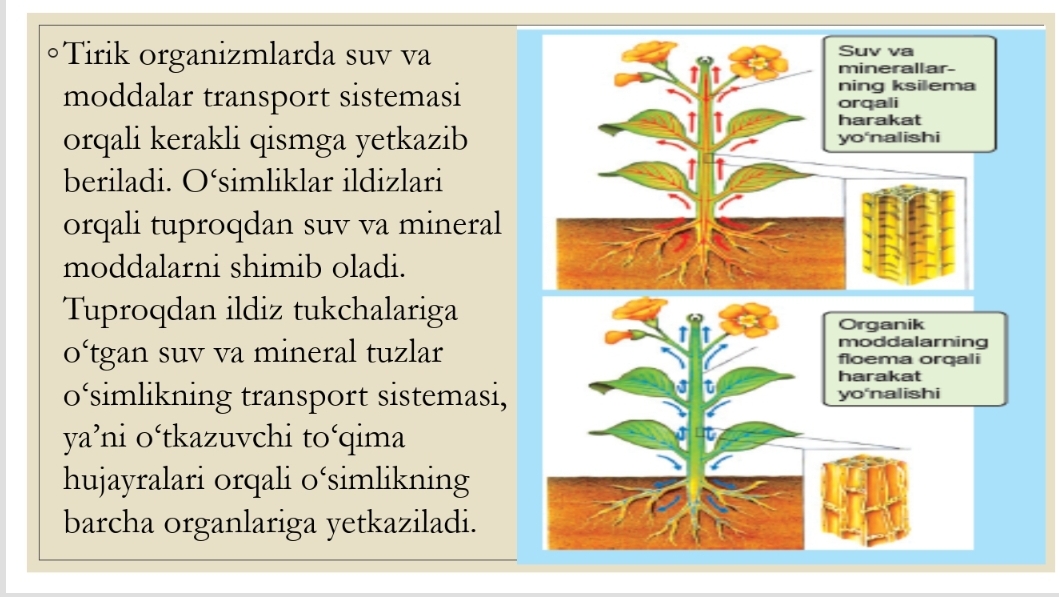 Seksual xayrli tong tilaklari Jinsiy aloqa: Kichkina ogil onasini sikadi
