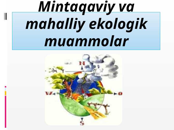 Mintaqaviy va mahalliy ekologik muammolar