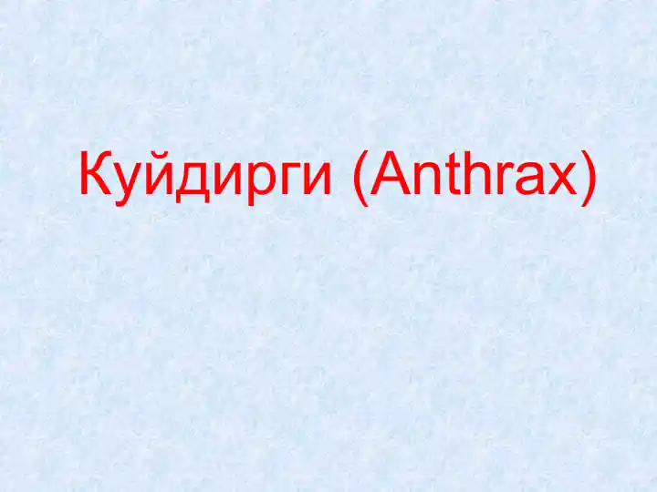 Kuydirgi