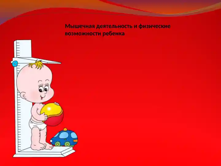 Мышечная деятельность и физические возможности ребенка