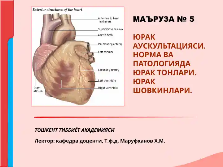 Yurak auskultatsiyasi