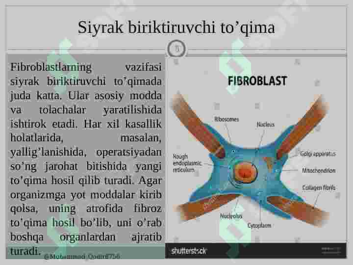 Porno busty gozallar Pornografiyada boshlagan kino aktyorlari ishtirokidagi porno