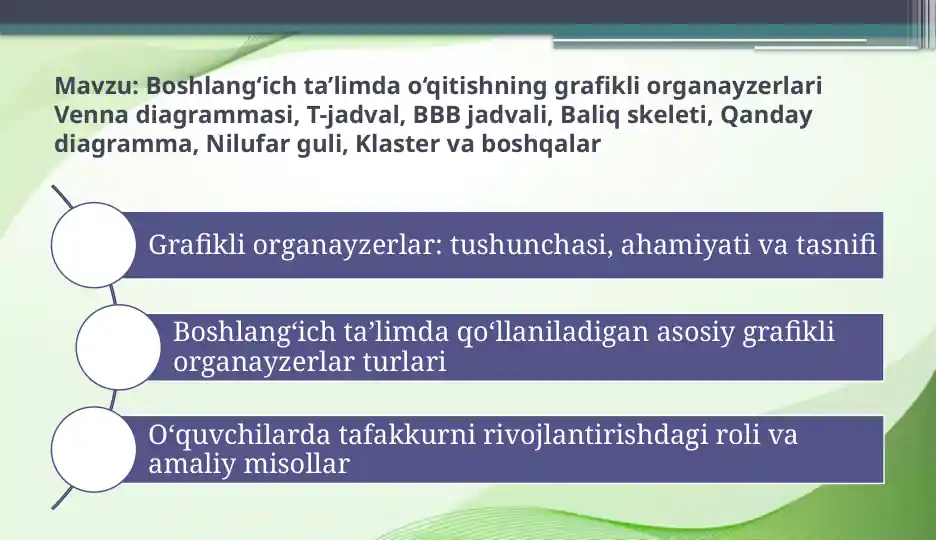 Grafikli organayzerlar