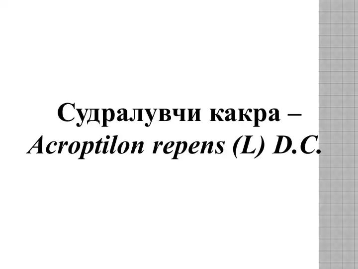 Судралувчи какра