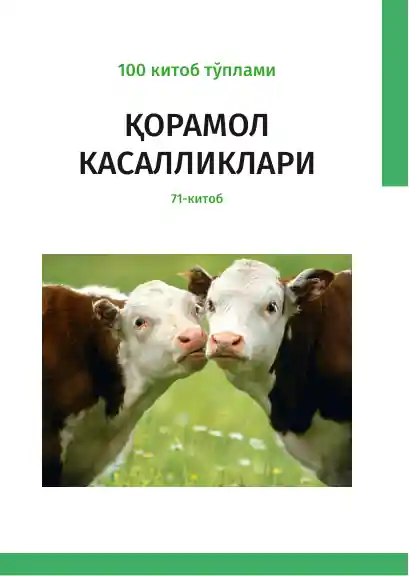card img