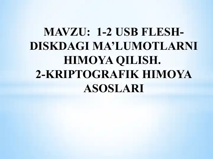 USB Flesh disk