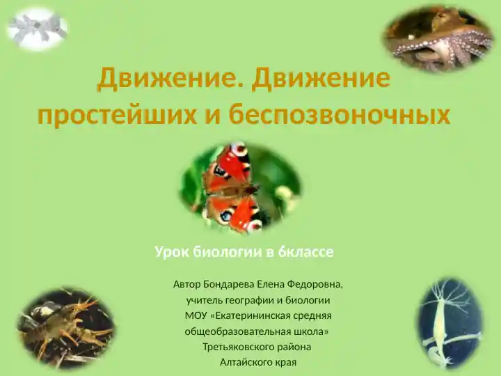 Движение. Движение простейших и беспозвоночных