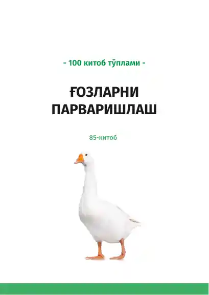 card img