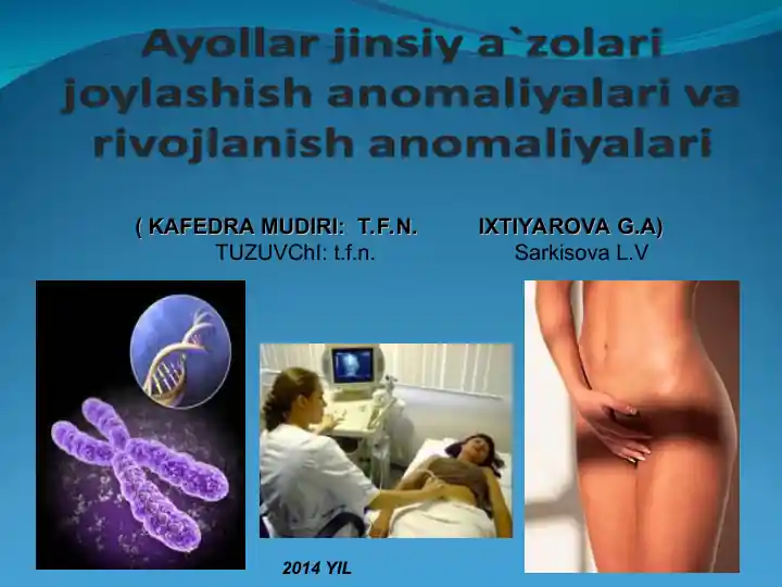 Porno xolaga hujum qildi