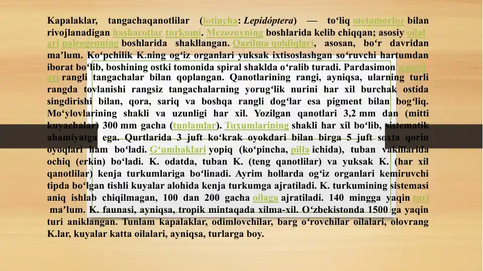 Kapalaklar (Lepidóptera)