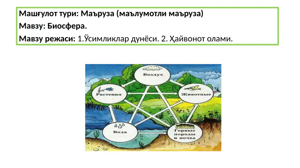 Pastki osimliklar diagrammasi