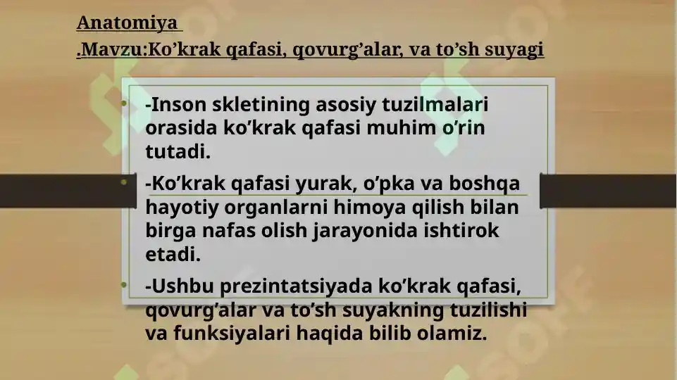 Kokrak qafasi bilan qoplangan Kokrak qafasi bilan qoplangan