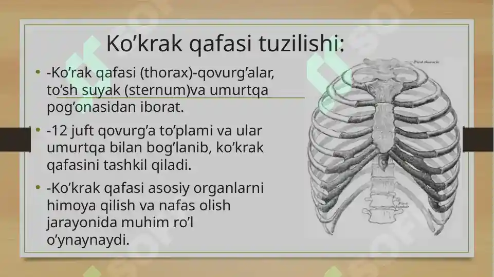 Katta, qatiy eshak fotosuratida katta sik Trans bekasi bilan porno tomosha qiling