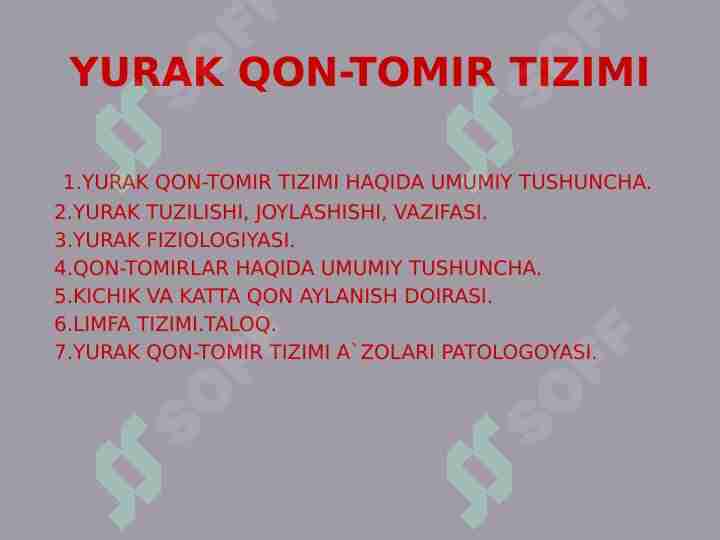 Yurak-qon tomir va nerv sistemasining tfunksional anatomiyasi