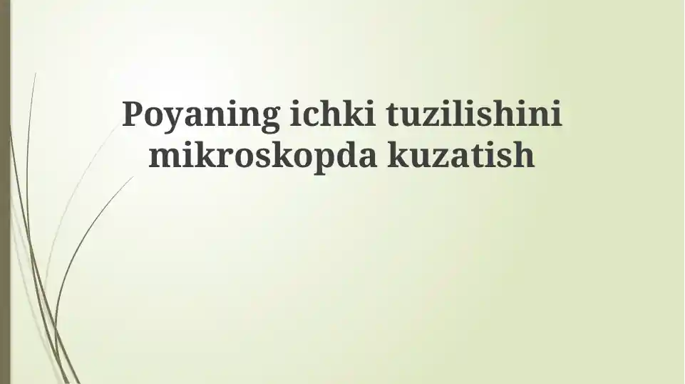Gulkar changining ichki tuzilishini mikroskopda kuzatish