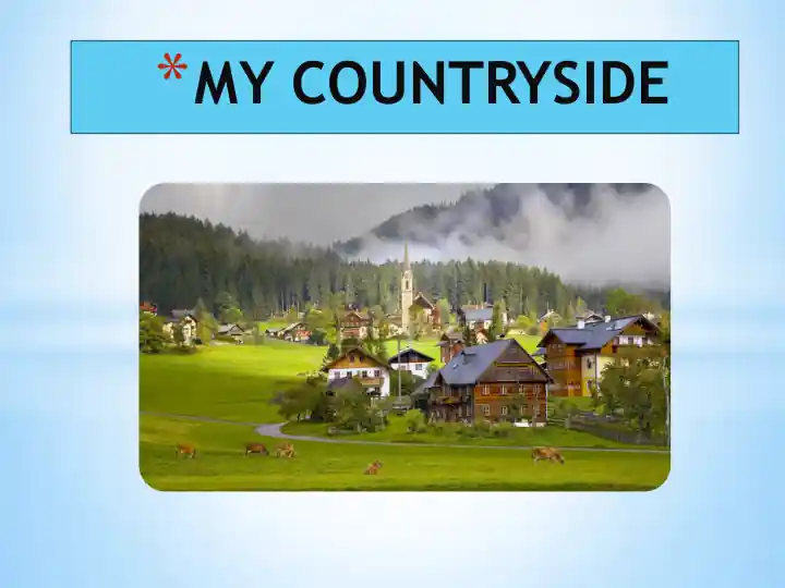 card img