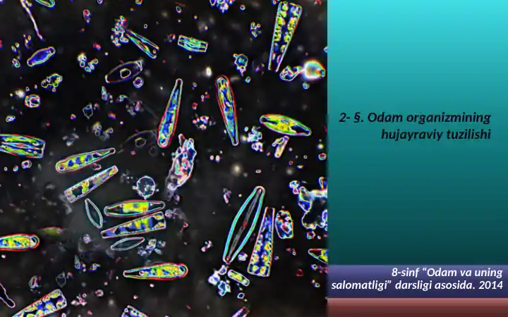 Odam organizmining hujayraviy tuzilishi