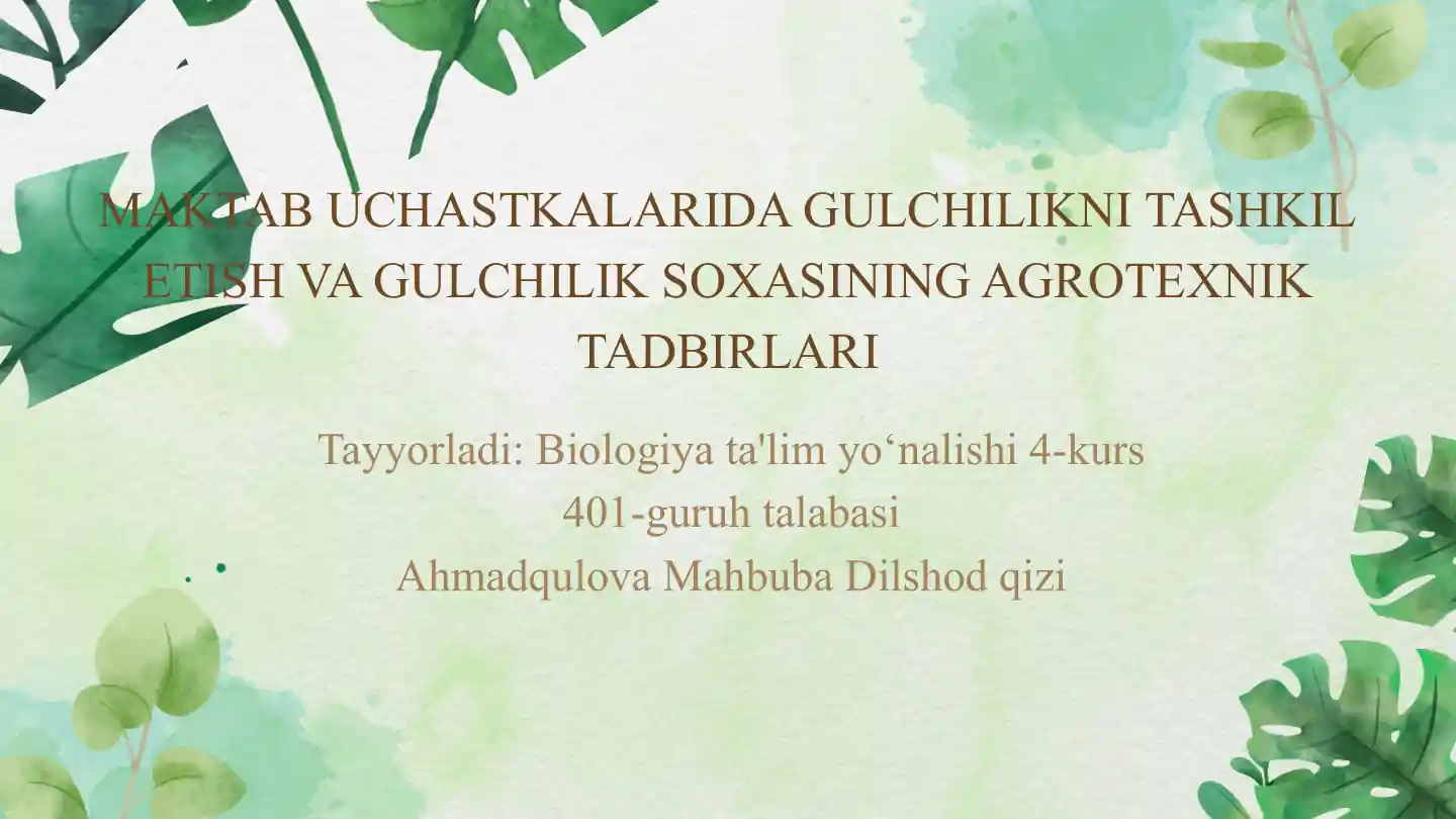 card img