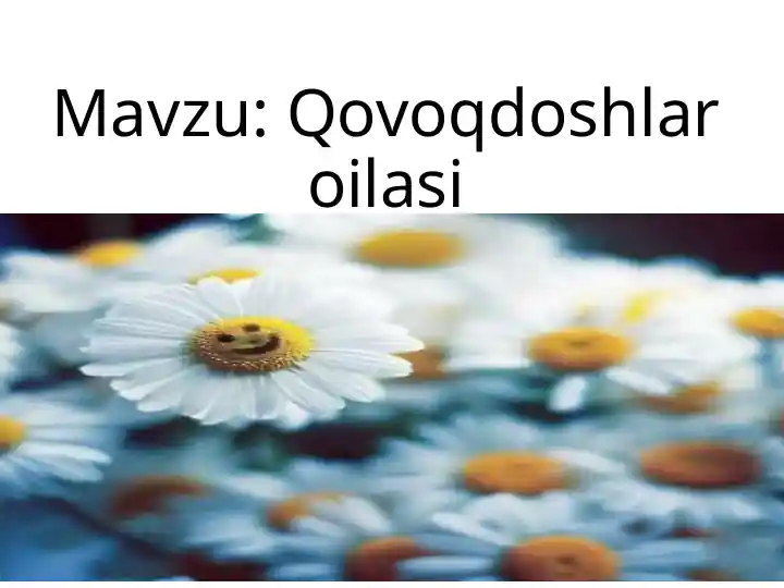 Qovoqdoshlar oilasi