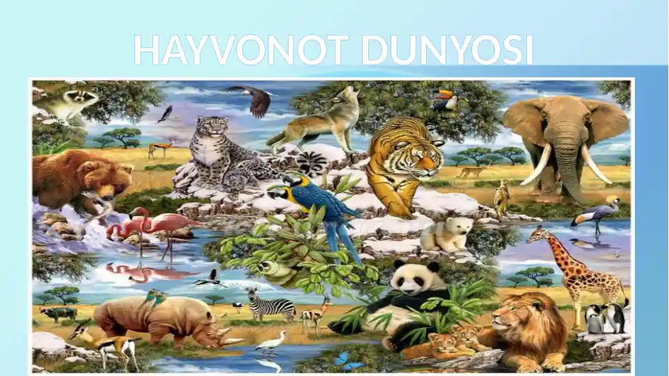 Anal chuqurlik dle tomonidan quvvatlanadi Chollarning pornosi