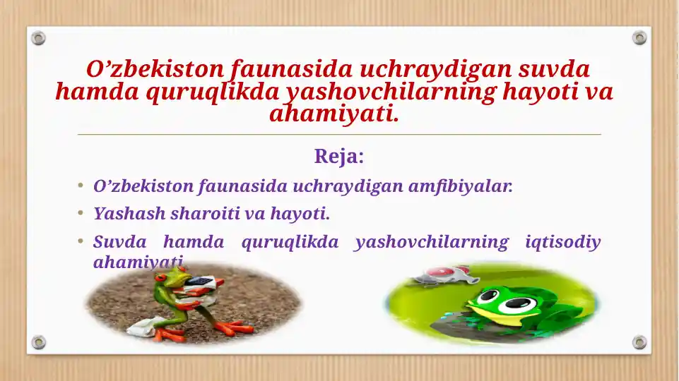 Amfibiyalar