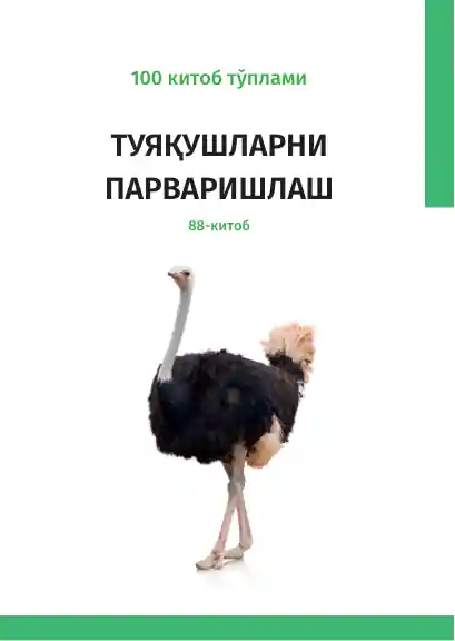 card img