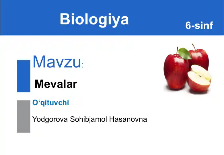 Mevalar Rasimi Mevalar