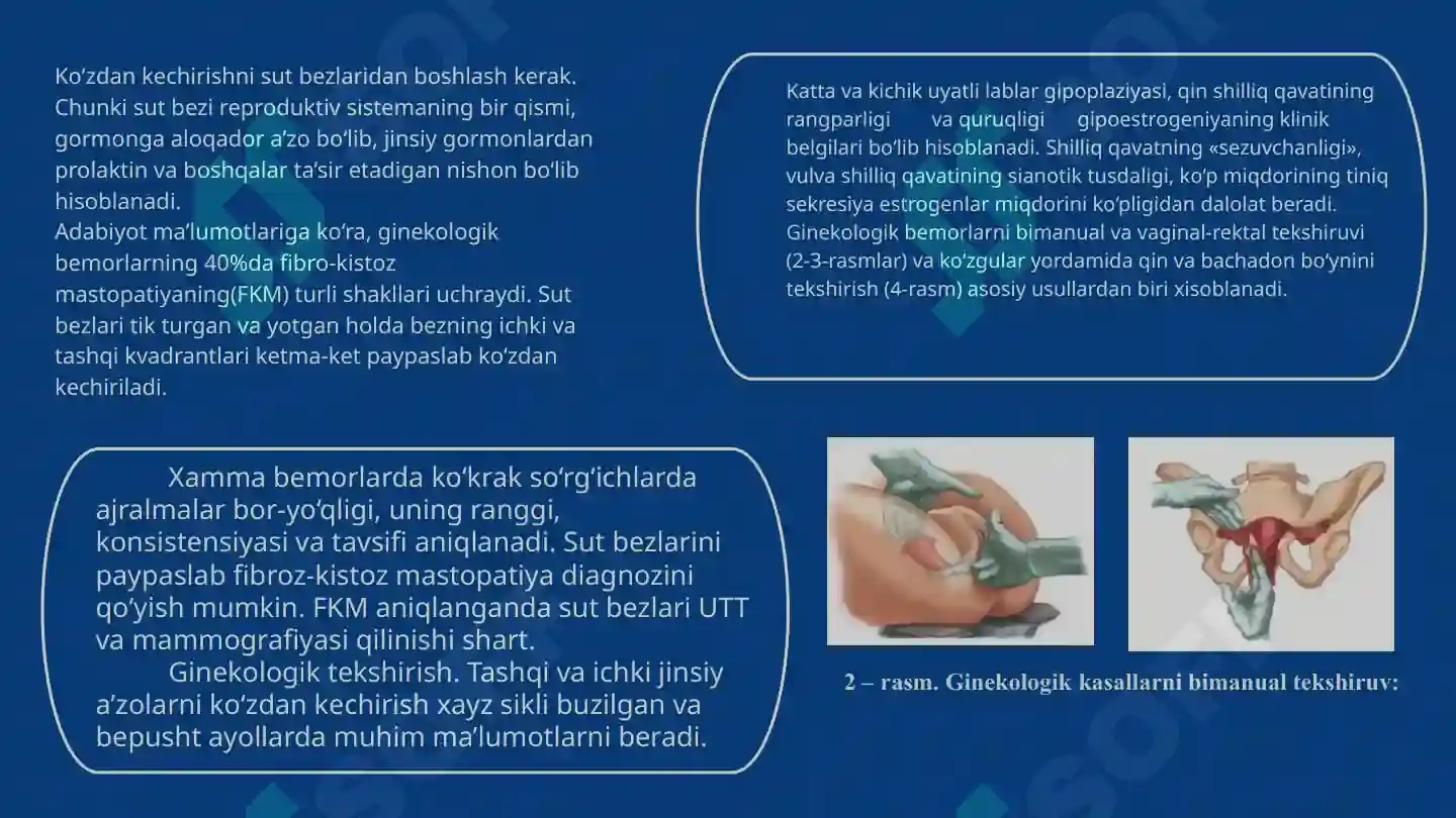 Tayoqlar, yarasalar va oyinchoqlar bilan porno Qora tanlilar bilan yangi porno komikslar