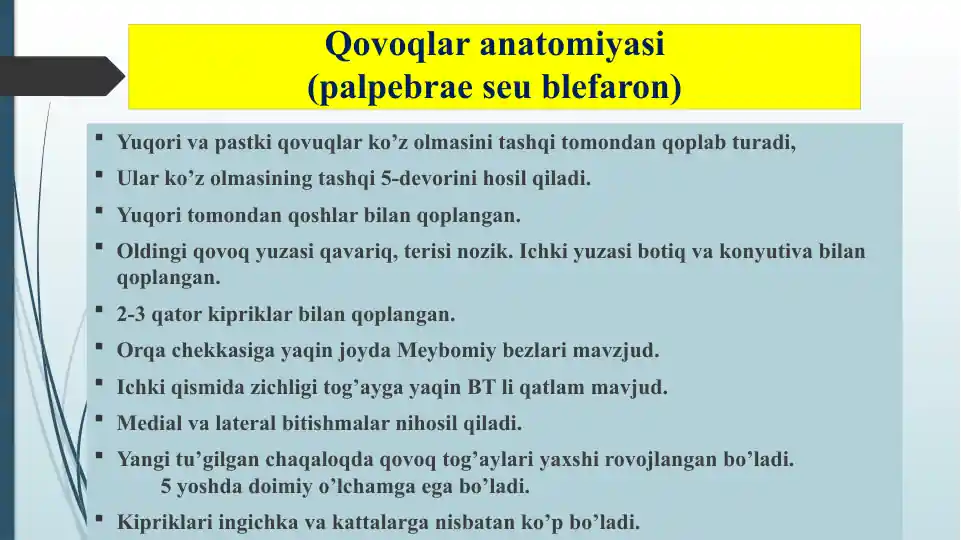 Qovoqlar anatomiyasi (palpebrae seblefaron)