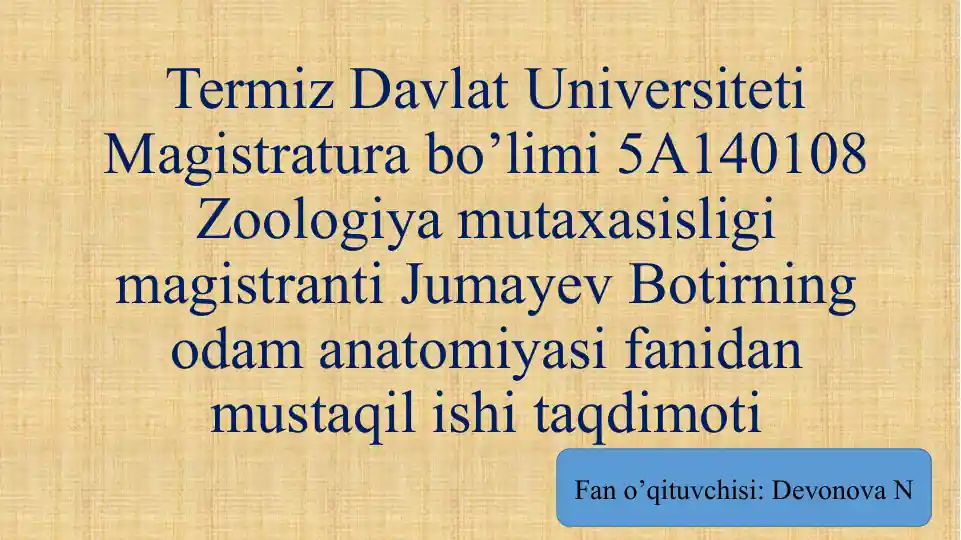 Yosh mushukning fotosurati. Jinsiy oila haqida film