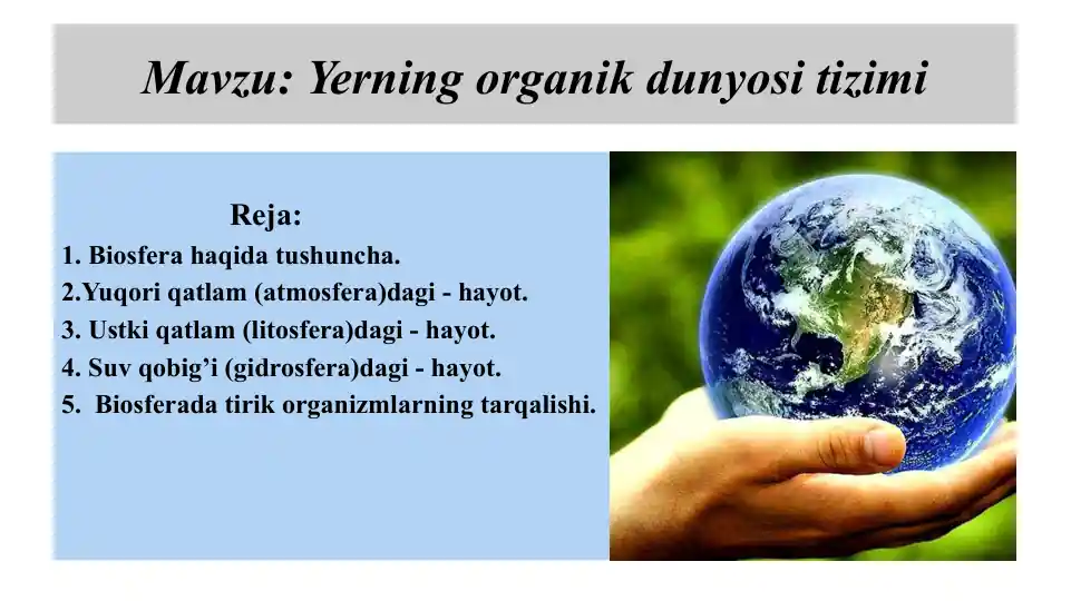 card img