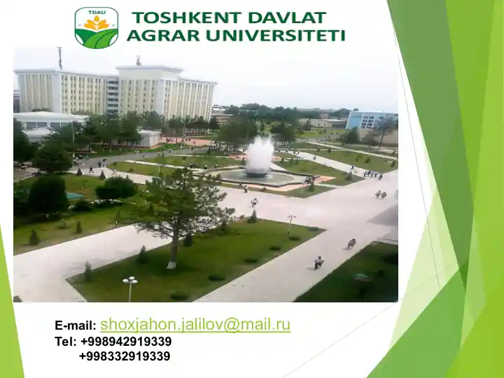 Korporativ tadbirlar va rejalashtirish