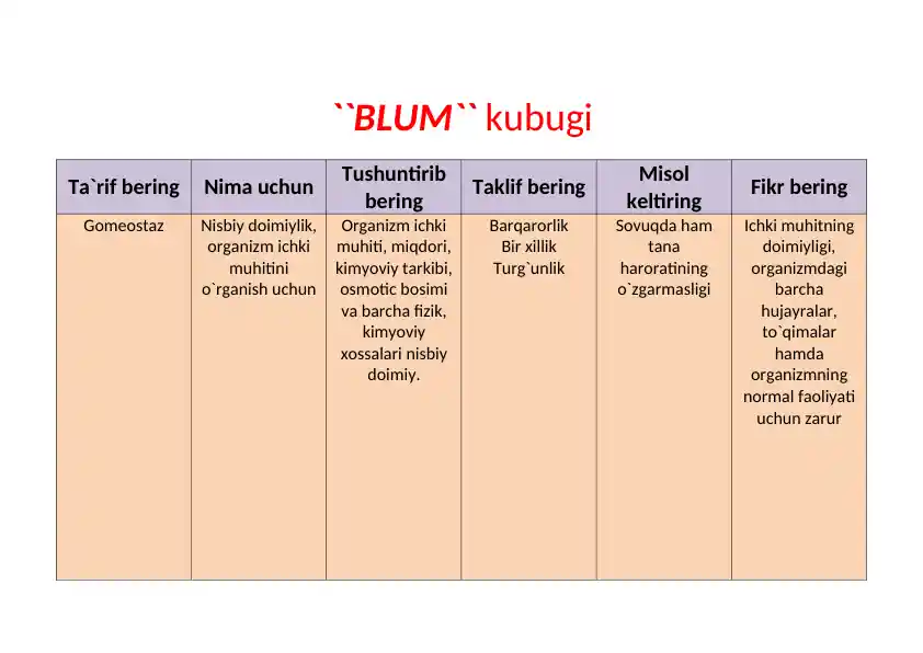 BLUM kubugi