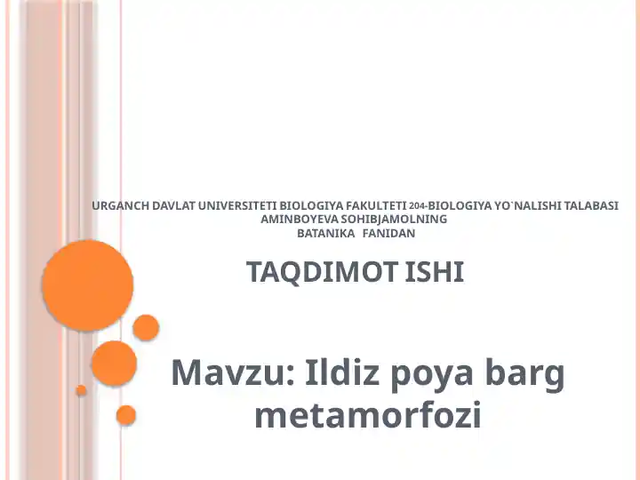 Ildiz poya barg metamorfozi taqdimoti