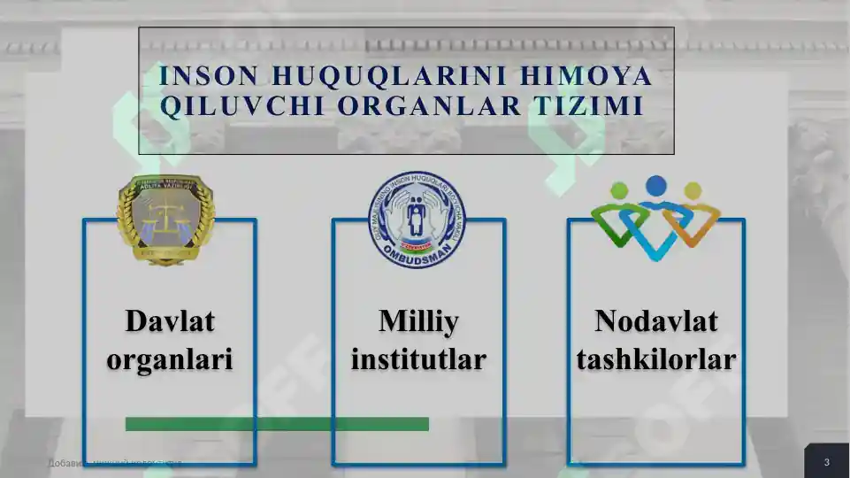 Inson huquqlarini himoya qiluvchi organlar