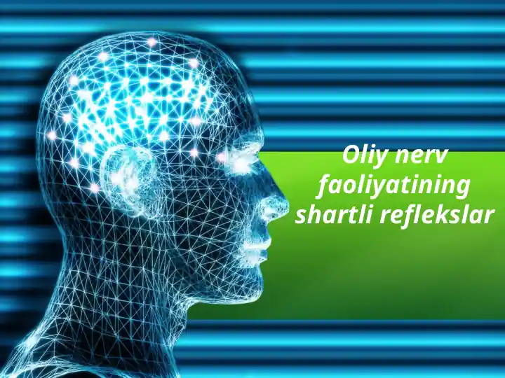 tibbiyot-oliy-nerv-faoliyatining-shartli-reflekslar