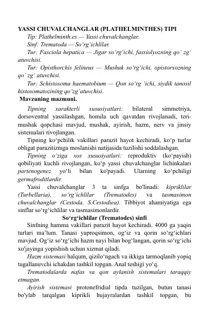 YASSI CHUVALCHANGLAR (PLATIIELMINTHES) TIPI