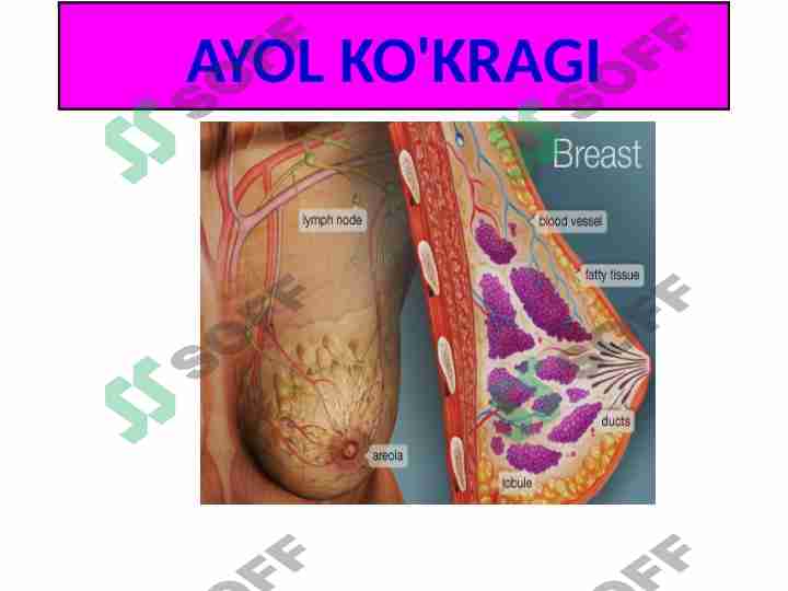 Eski fohishalar bilan guruh jinsiy aloqa Ayol organining yaqin pornosi