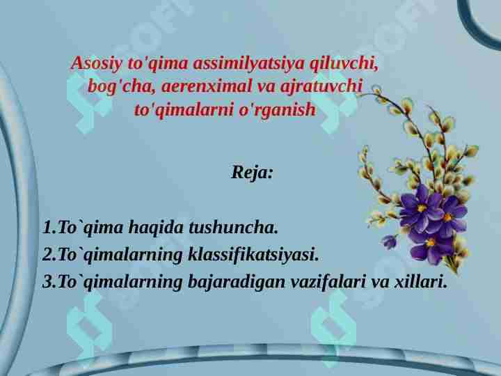 Asosiy to'qima assimilyatsiya qiluvchi,bog'cha, aerenximal va ajratuvchi to'qimalarni o'rganish