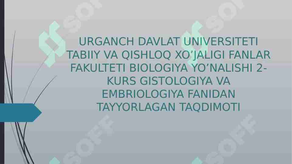 BIRIKTIRUVCHI TO’QIMA