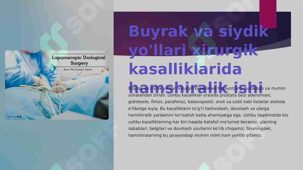 Bu eshakda bir necha marta sik bolgan Jinsiy külotlu kurash video