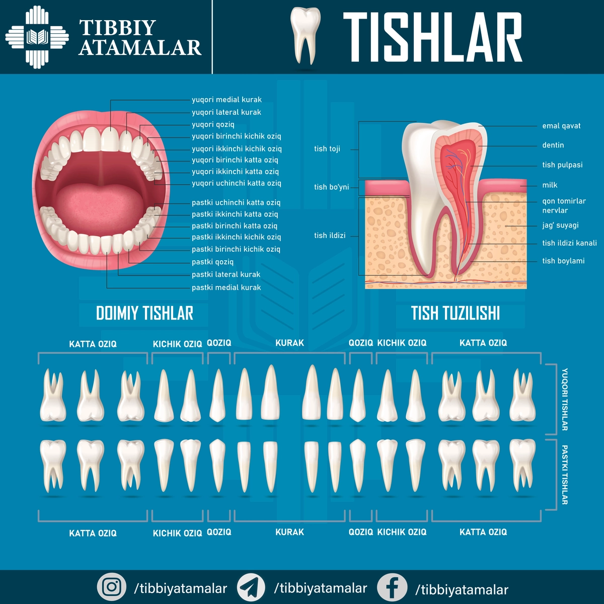 Porno multfilm kokraklar Dashkamerada olingan porno
