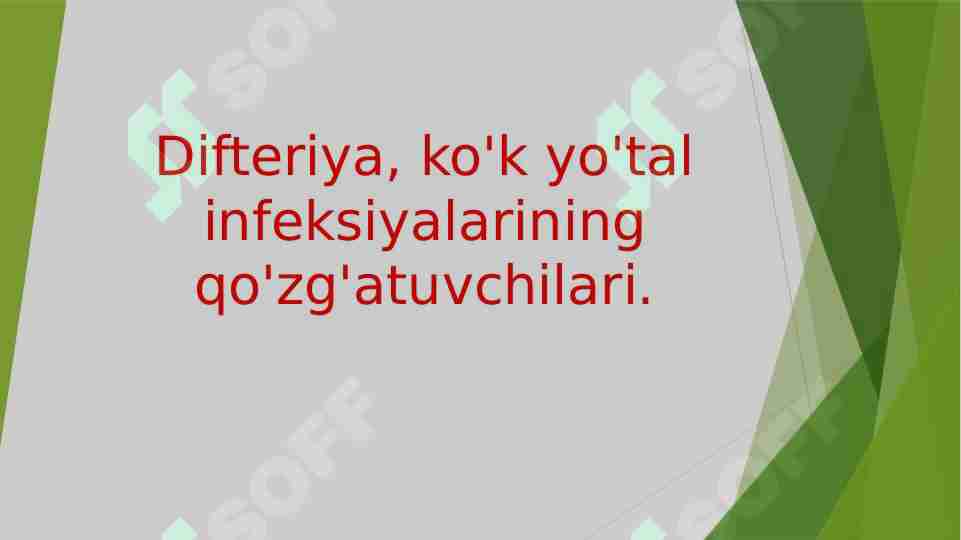 Difteriya, ko'k yo'tal infeksiyalarining qo'zg'atuvchilari.