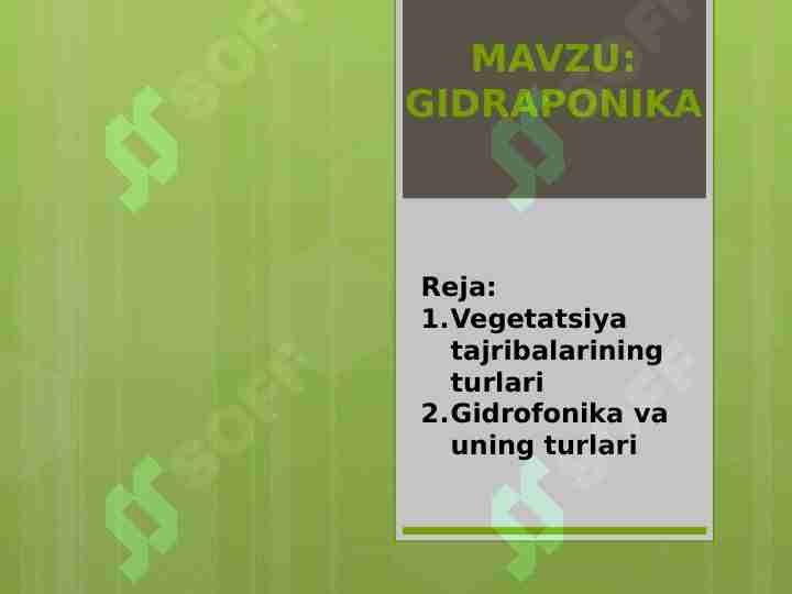 GIDRAPONIKA.